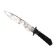 ★ Classic Knife | Stained (Factory New)