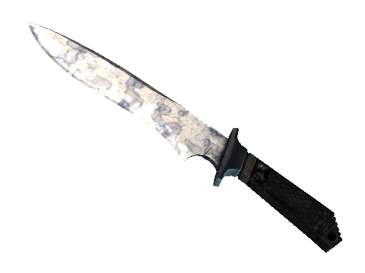 ★ StatTrak™ Classic Knife | Stained (Factory New)