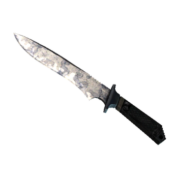 ★ StatTrak™ Classic Knife | Stained