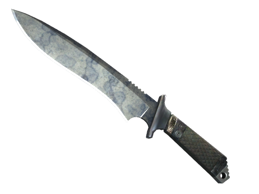 ★ StatTrak™ Classic Knife | Stained (Well-Worn)