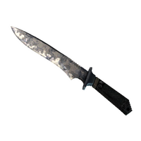 ★ Classic Knife | Stained (Battle-Scarred)