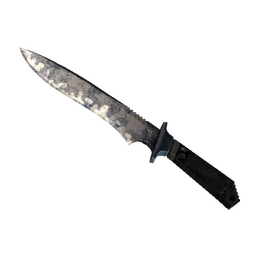 ★ StatTrak™ Classic Knife | Stained (Battle-Scarred)
