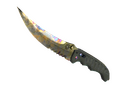 ★ Flip Knife | Case Hardened