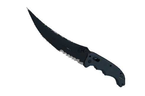 ★ StatTrak™ Flip Knife | Night (Well-Worn) Prices