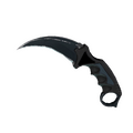 ★ Karambit | Night (Well-Worn)