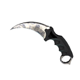 free csgo skin ★ Karambit | Stained (Well-Worn)