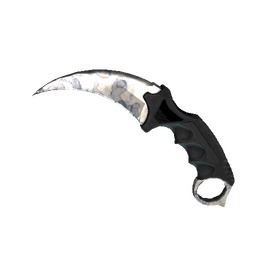 free csgo skin ★ StatTrak™ Karambit | Stained (Minimal Wear)