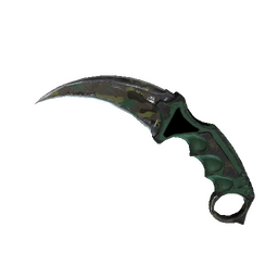 ★ Karambit | Boreal Forest (Battle-Scarred)