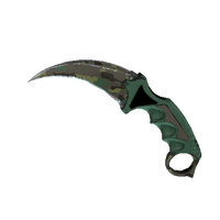 ★ Karambit | Boreal Forest (Well-Worn)