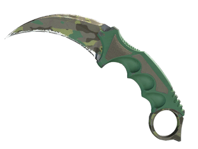 ★ StatTrak™ Karambit | Boreal Forest