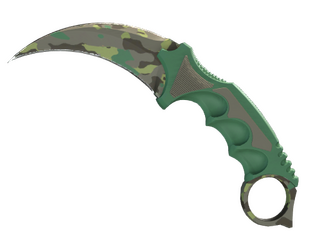 Karambit | Boreal Forest