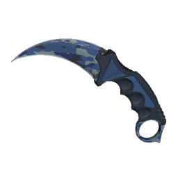 ★ Karambit | Bright Water (Well-Worn)