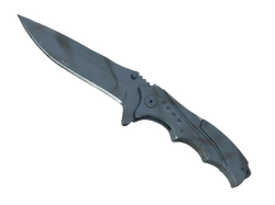 ★ Nomad Knife | Night Stripe