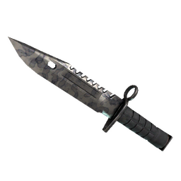 free csgo skin ★ StatTrak™ M9 Bayonet | Stained (Factory New)