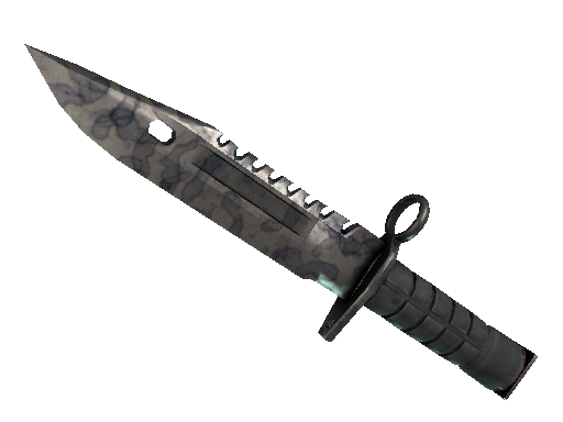 ★ M9 Bayonet | Stained (Well-Worn)