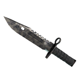 free csgo skin ★ StatTrak™ M9 Bayonet | Stained (Field-Tested)
