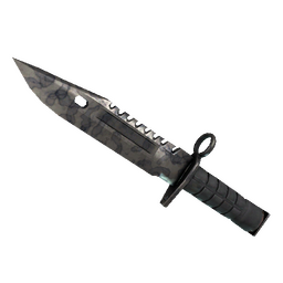 ★ M9 Bayonet | Stained (Field-Tested)