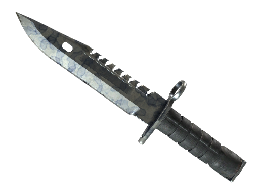 ★ M9 Bayonet | Stained (Well-Worn)