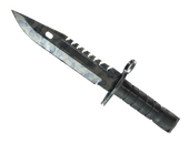 ★ M9 Bayonet | Stained (Well-Worn)