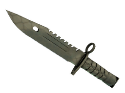 ★ M9 Bayonet | Safari Mesh (Field-Tested)