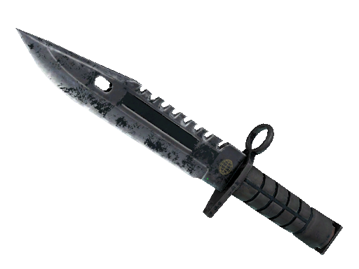 ★ M9 Bayonet | Night (Battle-Scarred)