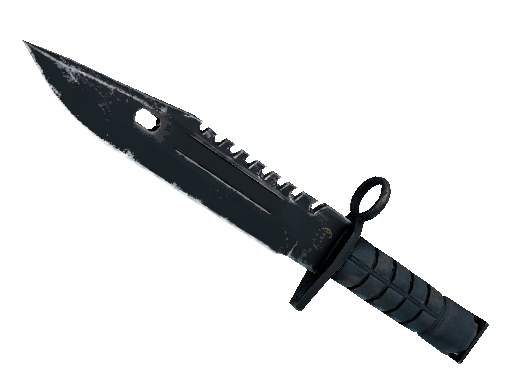 ★ M9 Bayonet | Night (Well-Worn)