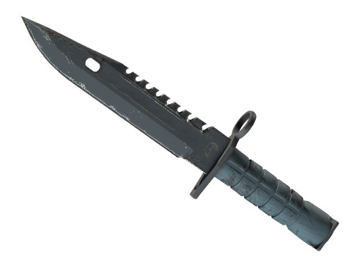 ★ M9 Bayonet | Night (Field-Tested)