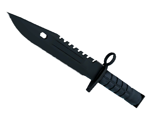 ★ M9 Bayonet | Night (Minimal Wear)