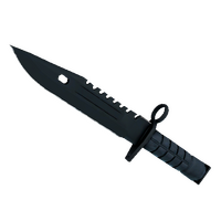★ M9 Bayonet | Night (Minimal Wear)