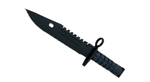 ★ M9 Bayonet | Night (Minimal Wear)