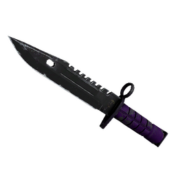 ★ StatTrak™ M9 Bayonet | Ultraviolet (Well-Worn)