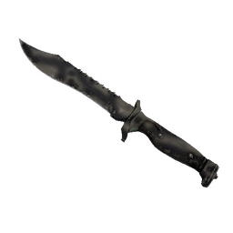 ★ StatTrak™ Bowie Knife | Scorched (Field-Tested)