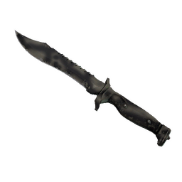 free csgo skin ★ Bowie Knife | Scorched (Field-Tested)