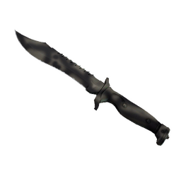 free csgo skin ★ Bowie Knife | Scorched (Factory New)