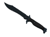 ★ Bowie Knife | Night (Field-Tested)