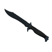 ★ Bowie Knife | Night (Minimal Wear)
