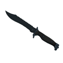 ★ Bowie Knife | Night (Minimal Wear)