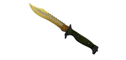 skinBest