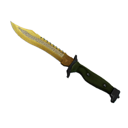 free cs2 skins ★ Bowie Knife | Lore (Field-Tested)