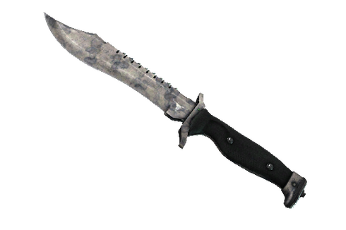 ★ Bowie Knife | Stained (Battle-Scarred) Prices