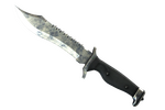 ★ Bowie Knife | Stained (Battle-Scarred)