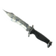 ★ Bowie Knife | Stained (Battle-Scarred)