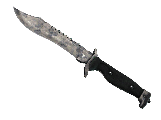 ★ Bowie Knife | Stained (Factory New)