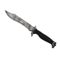 ★ Bowie Knife | Stained (Battle-Scarred)