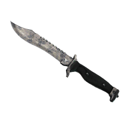 ★ Bowie Knife | Stained (Battle-Scarred)