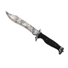 ★ Bowie Knife | Stained (Field-Tested)