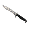 ★ Bowie Knife | Stained <br>(Field-Tested)