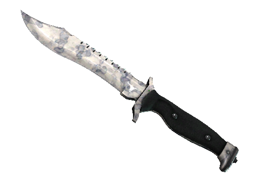 ★ Bowie Knife | Stained (Battle-Scarred)