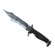 ★ Bowie Knife | Stained (Factory New)