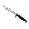★ Bowie Knife | Stained (Minimal Wear)